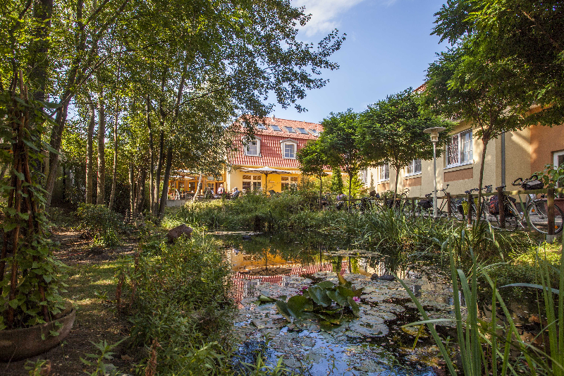 Terrasse am Teich
