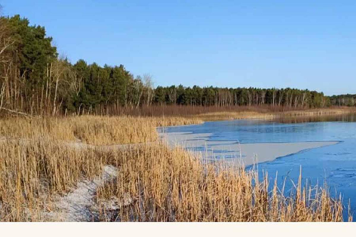 Ferienwohnung Landzauber am Briesensee - 1000007388