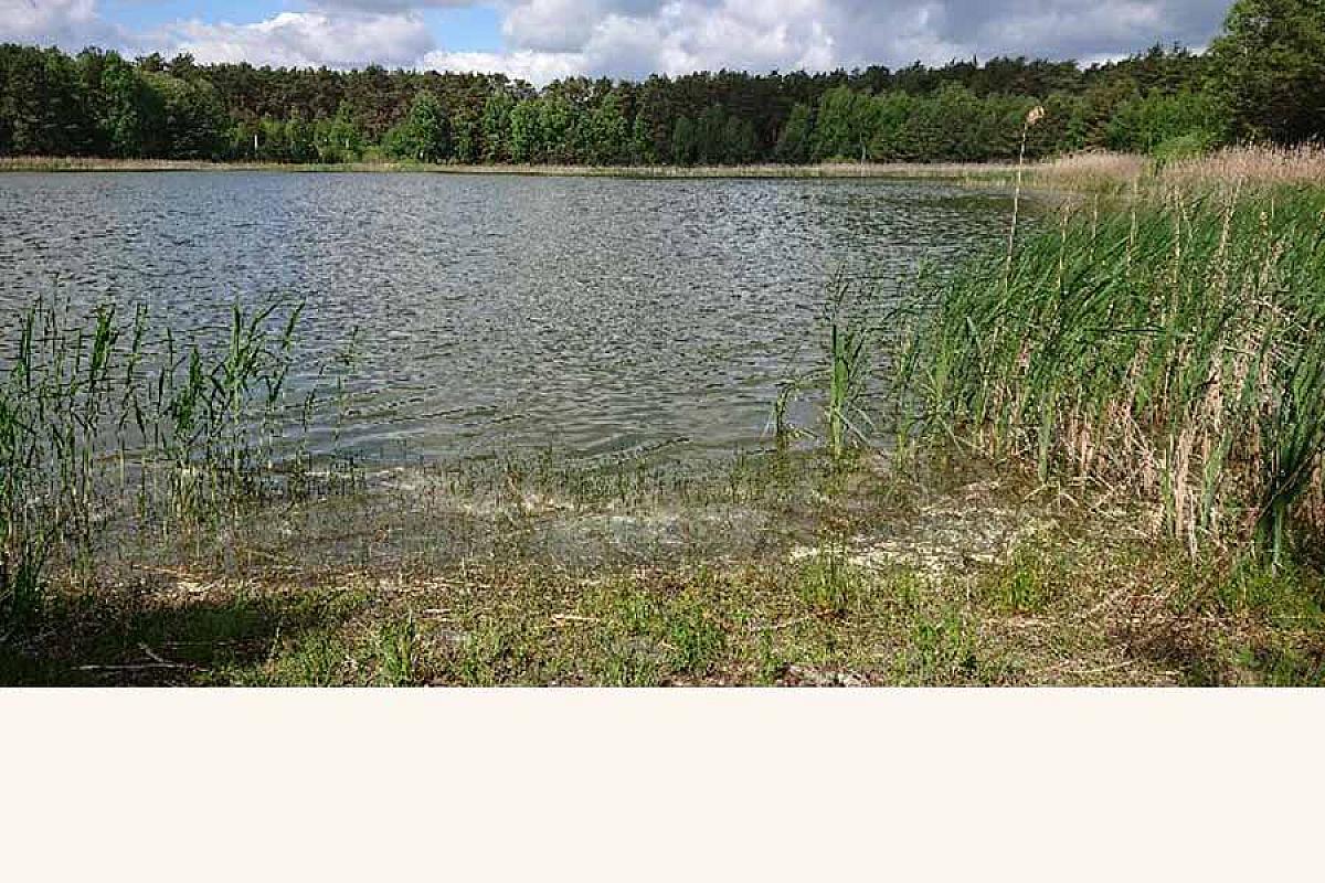 Ferienwohnung Landzauber am Briesensee - Barbassee