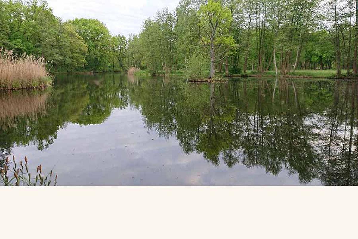 Ferienwohnung Landzauber am Briesensee - Straupitzer_Schlossteich