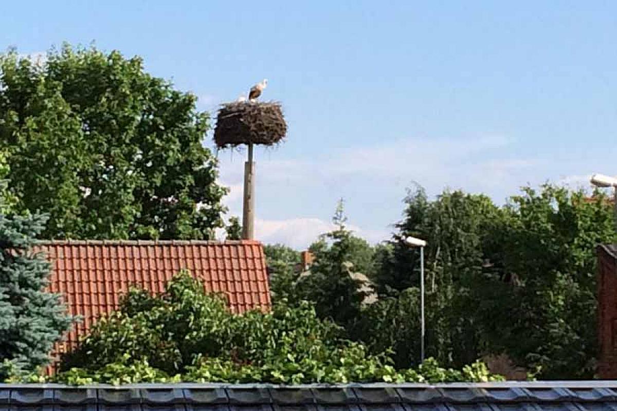 Ferienhaus Auszeit im Spreewald - Ausblick_Wohnzimmer