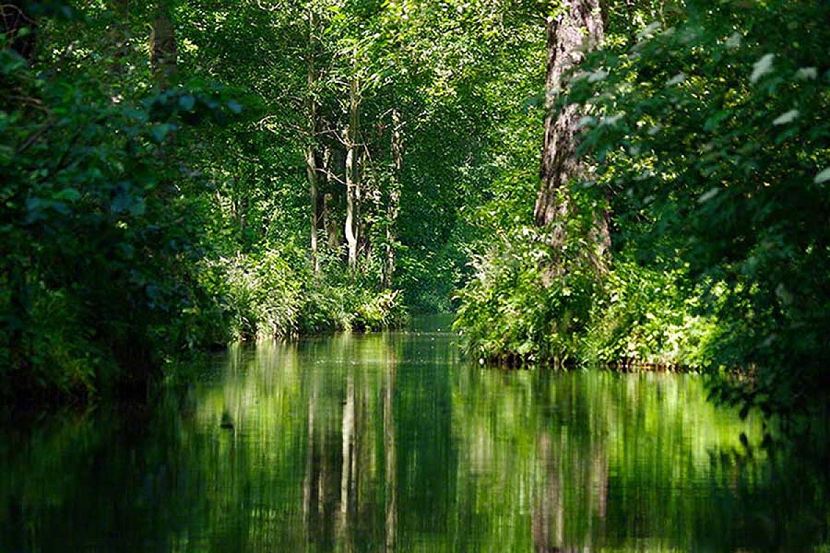 Bootsverleih Kleiner Hafen am Mühlenwehr