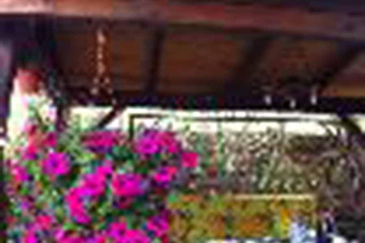Ferienwohnungen Kabisch - Foto1