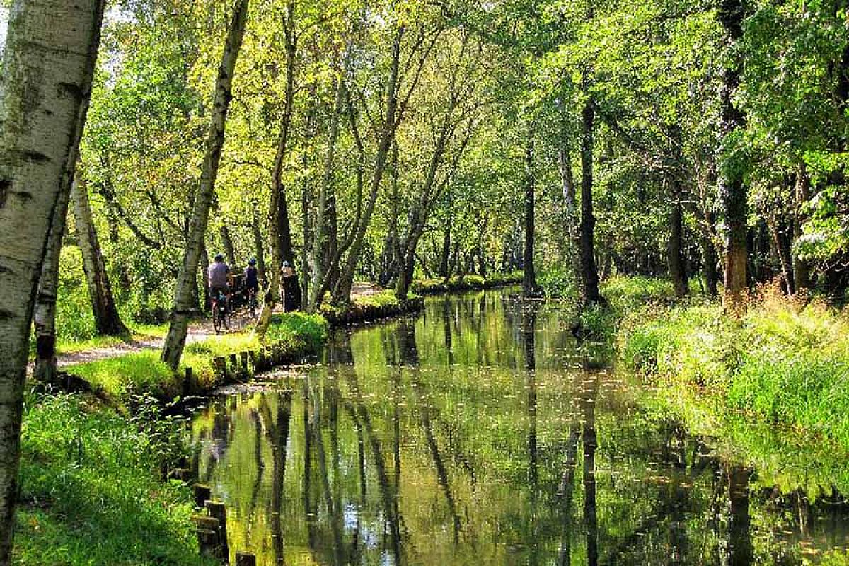 Pension " Spreeaue " - Spreewald_Radwege_Pension_Spreeaue_in_Burg
