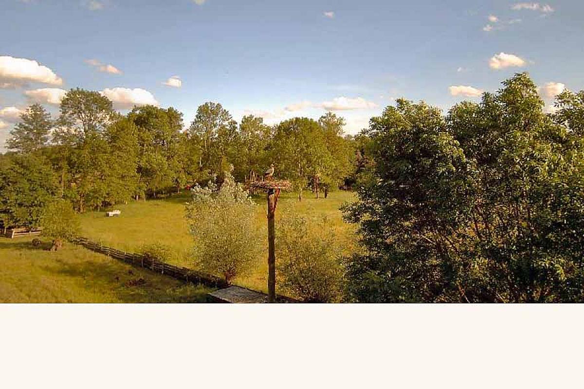 Landgasthof & Pension "Zur Wildbahn" - Aussen