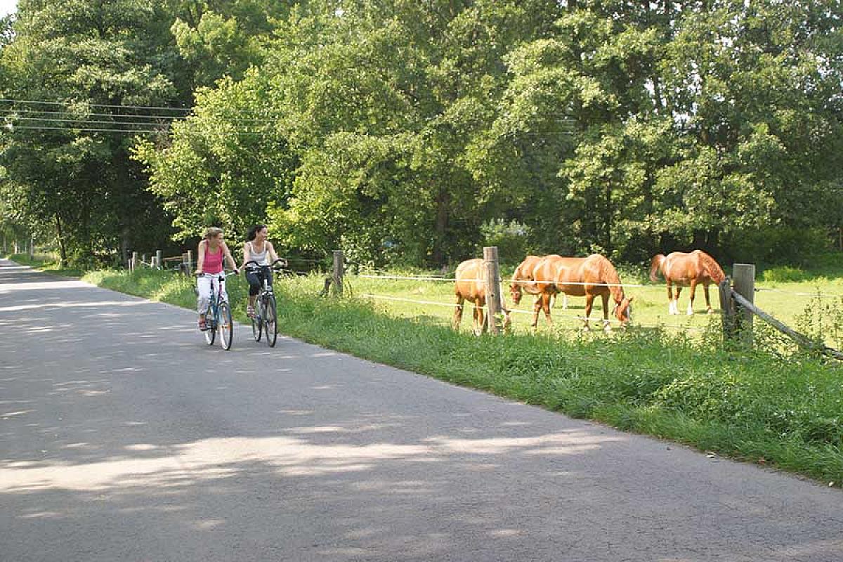 Touristinformation Burg im Spreewald - radfahren-©Michael-Schoen