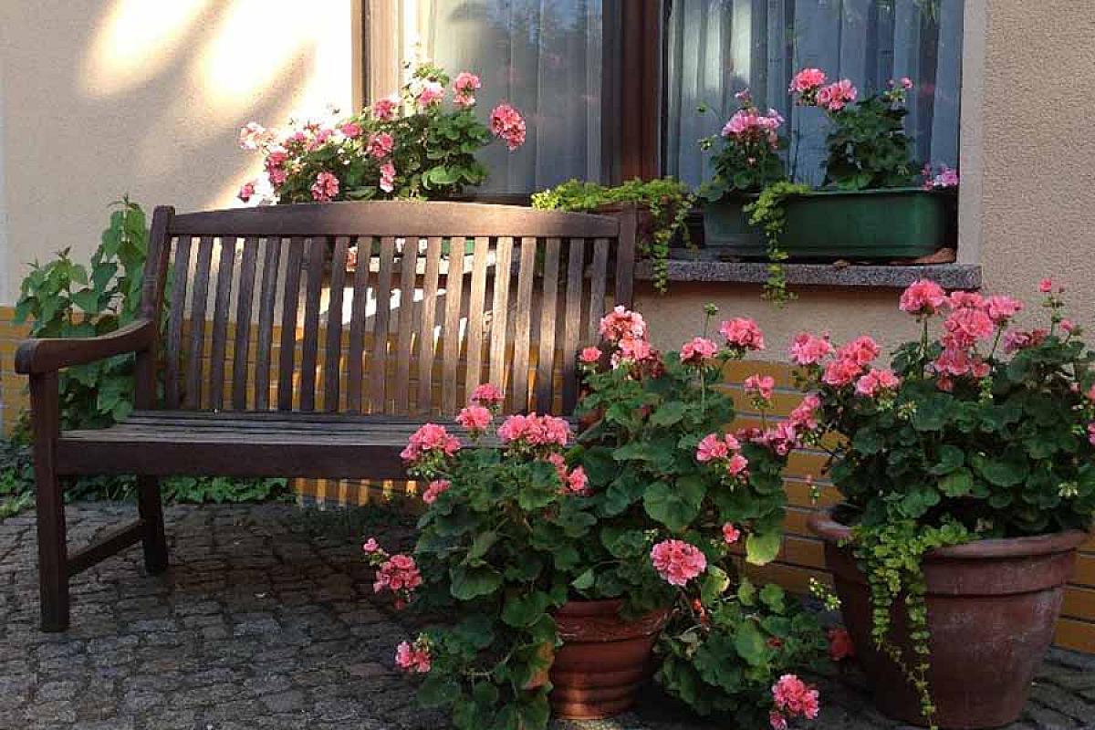 Spreewaldpension Wesner - Bild_186