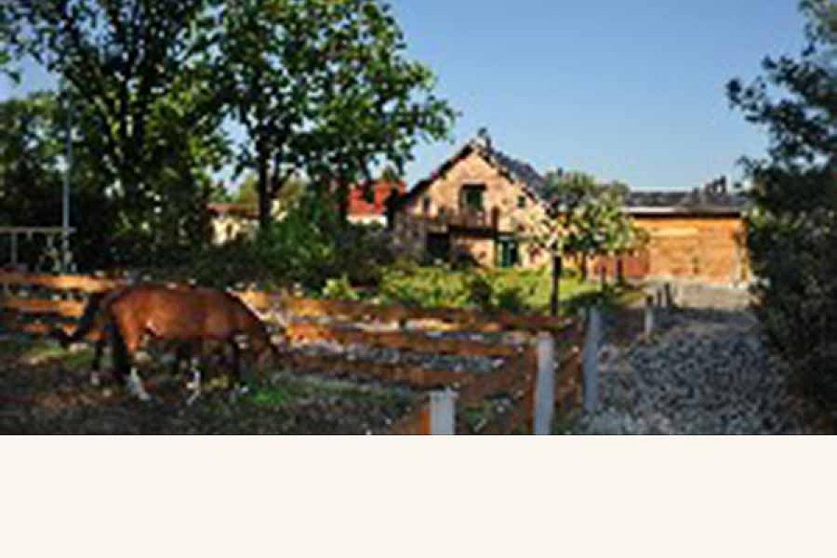 Kastanienhof Spreewald - Kastanienhof_Spreewald_Stoppa_Pferdekoppel