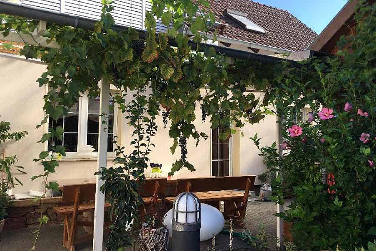 Ferienwohnungen Mummert - IMG_0631
