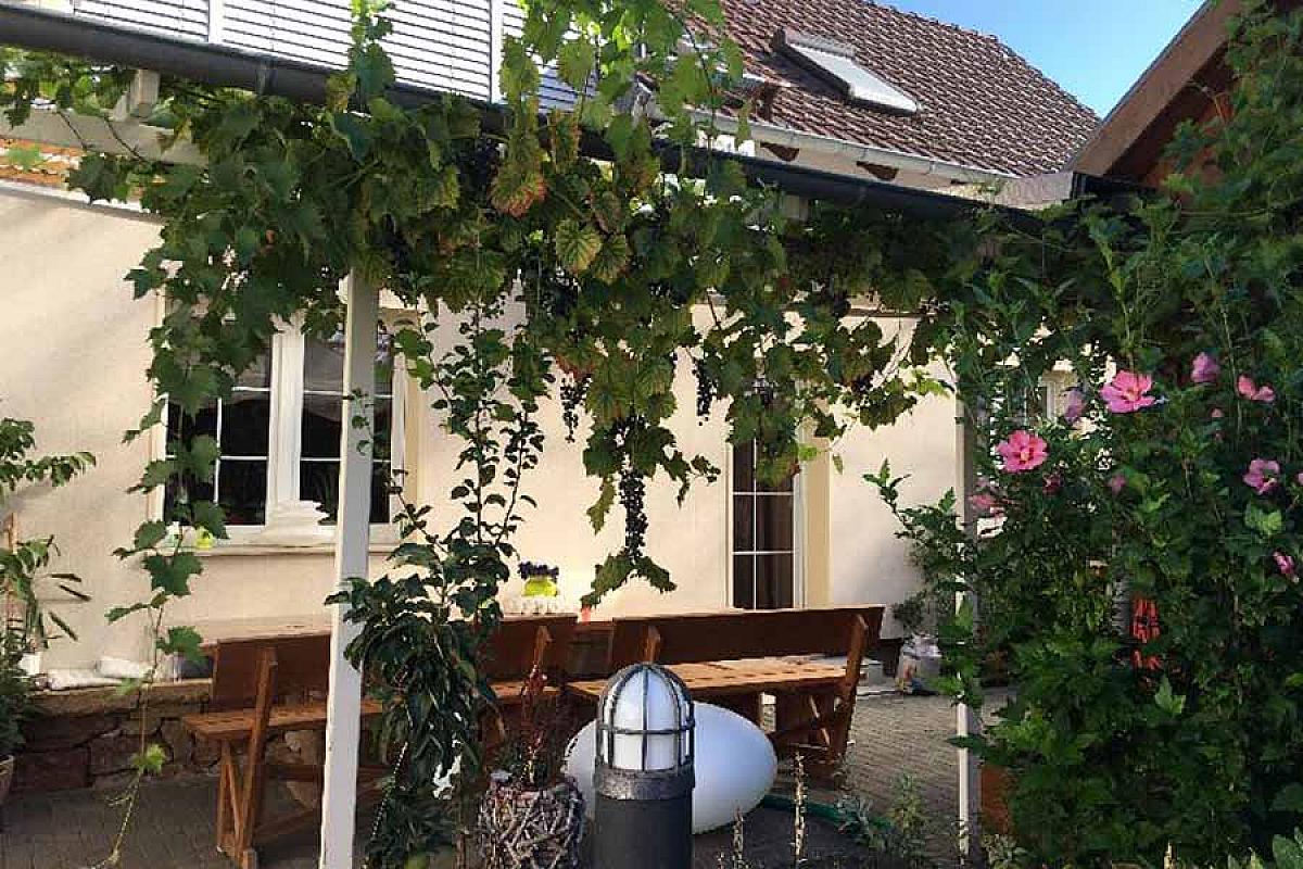Ferienwohnungen Mummert - IMG_0631