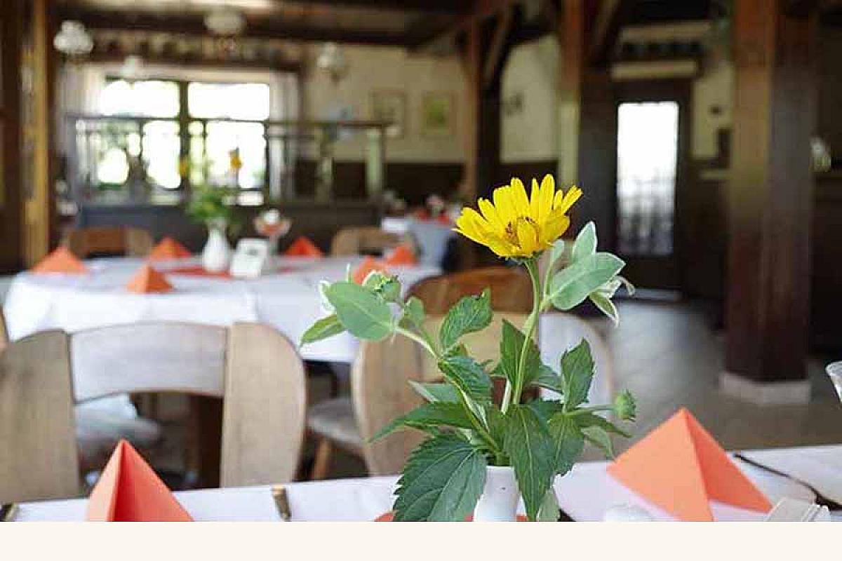 Landgasthof Ochseneck - restaurant-landgasthof-ochseneck-aod-20180703-7303