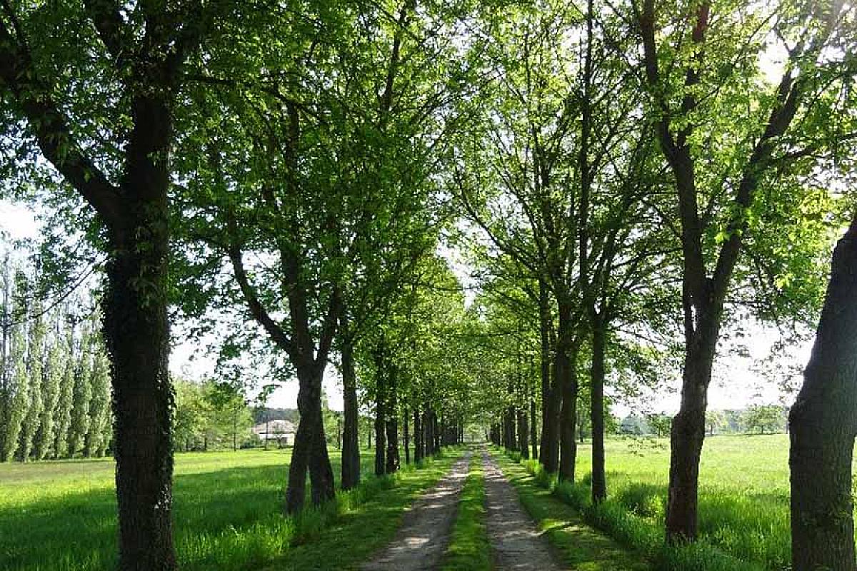 Ferienhof Erlensteg - DSC02209