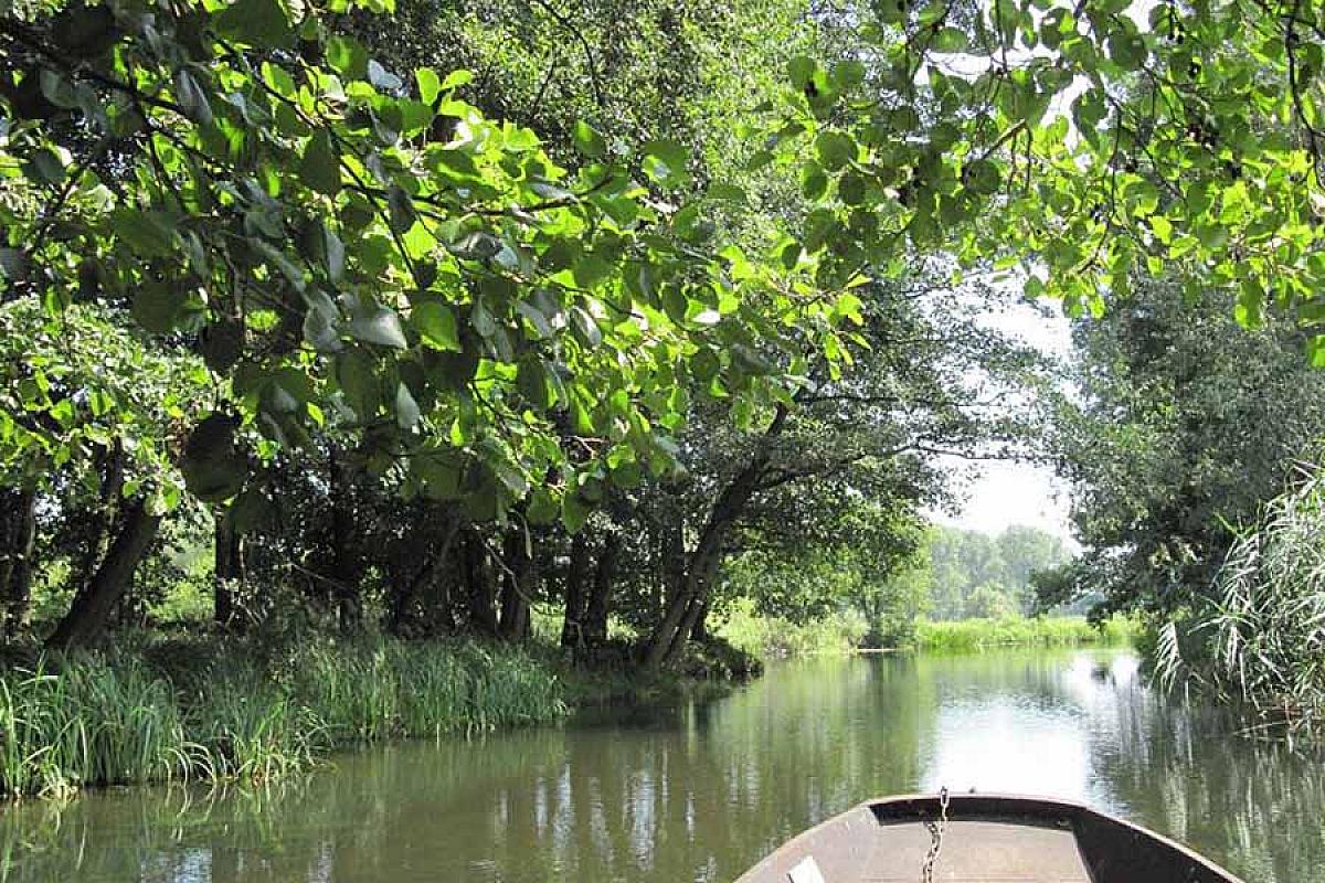 Spreewaldhaus zum Schoberplatz GbR - Kahnfahrt_Spreewald_005s