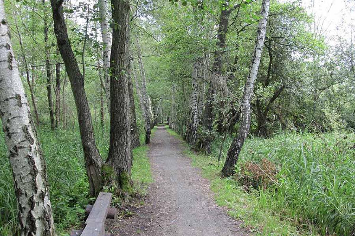 Spreewaldhaus zum Schoberplatz GbR - Radfahren_im_Spreewald