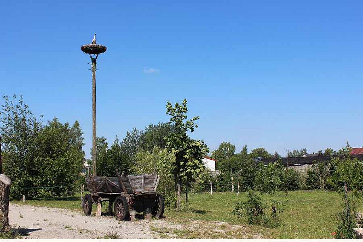 Spreewaldhaus zum Schoberplatz GbR - urlaub_im_Spreewald1