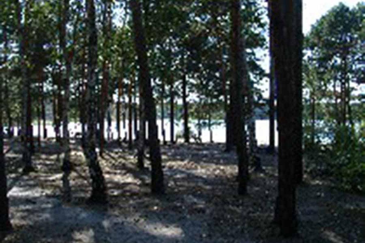 Ferienzentrum Briesensee - waldi_2012_095