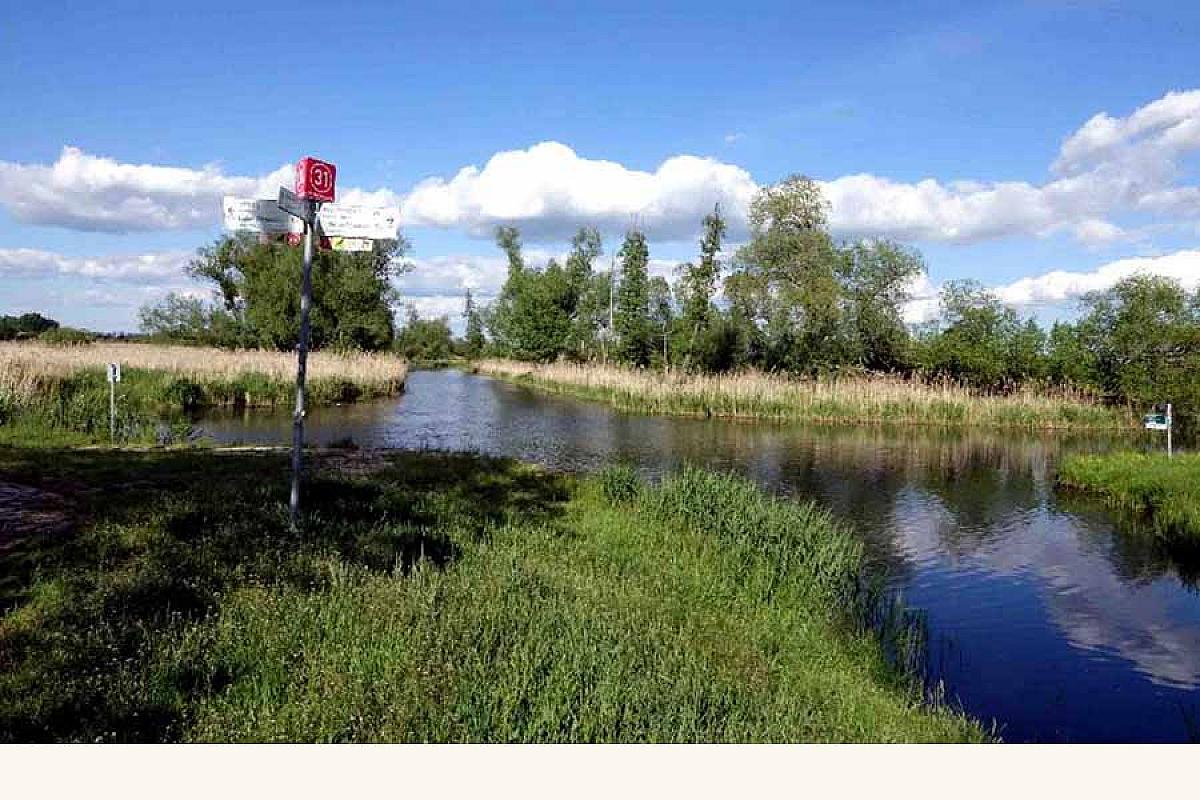 Ferienwohnungen Reiche - 10spree