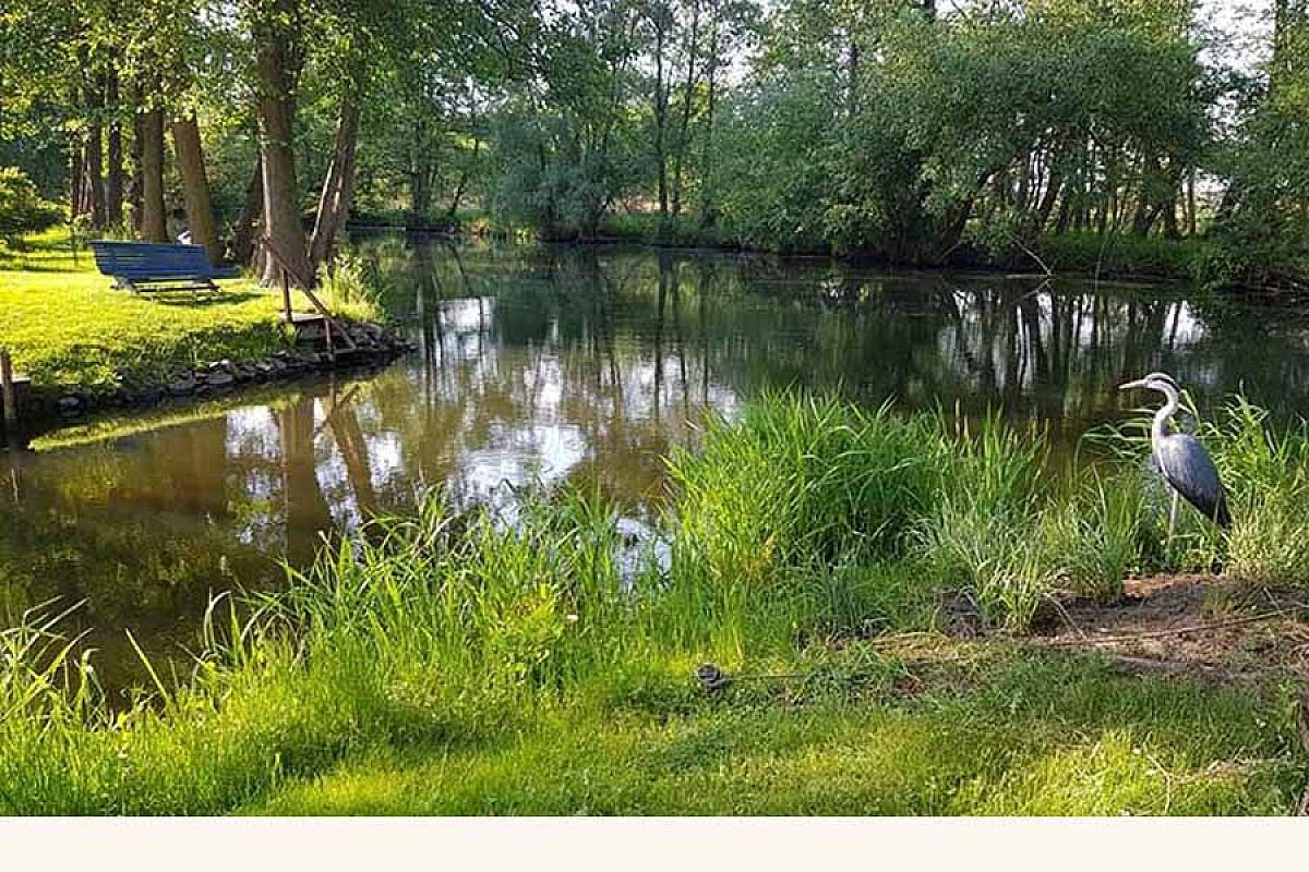 Ferienhaus am Wasser in Trebatsch - ferienhaus-am-wasser-in-tauche-fischreiher