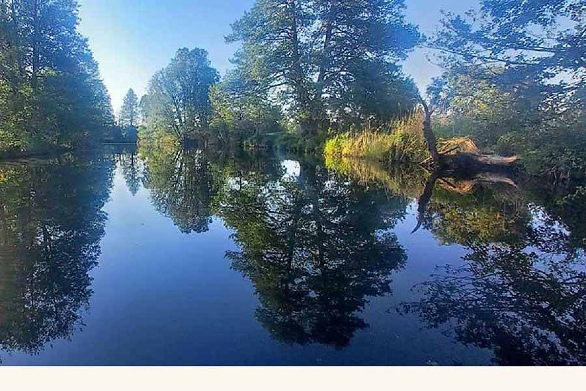 Ferienhaus am Wasser in Trebatsch - ferienhaus-am-wasser-in-tauche-spiegelung-wasser