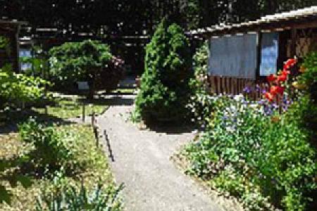 Bild Bungalowdorf Briesensee