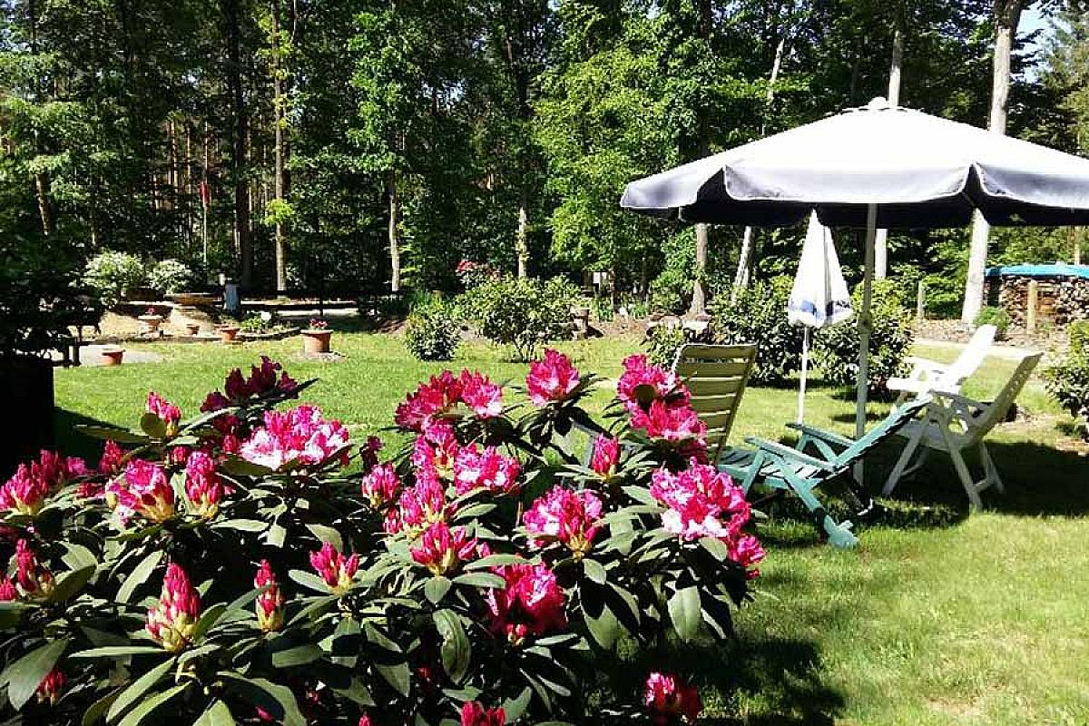 Bungalowdorf Briesensee - 20180508_112143