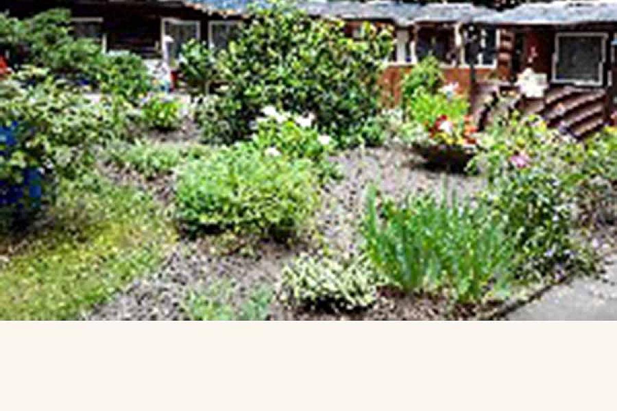 Bungalowdorf Briesensee - IMG_20140716_105226