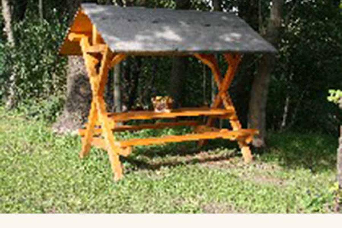 Urlaub auf dem Bauernhof - 3