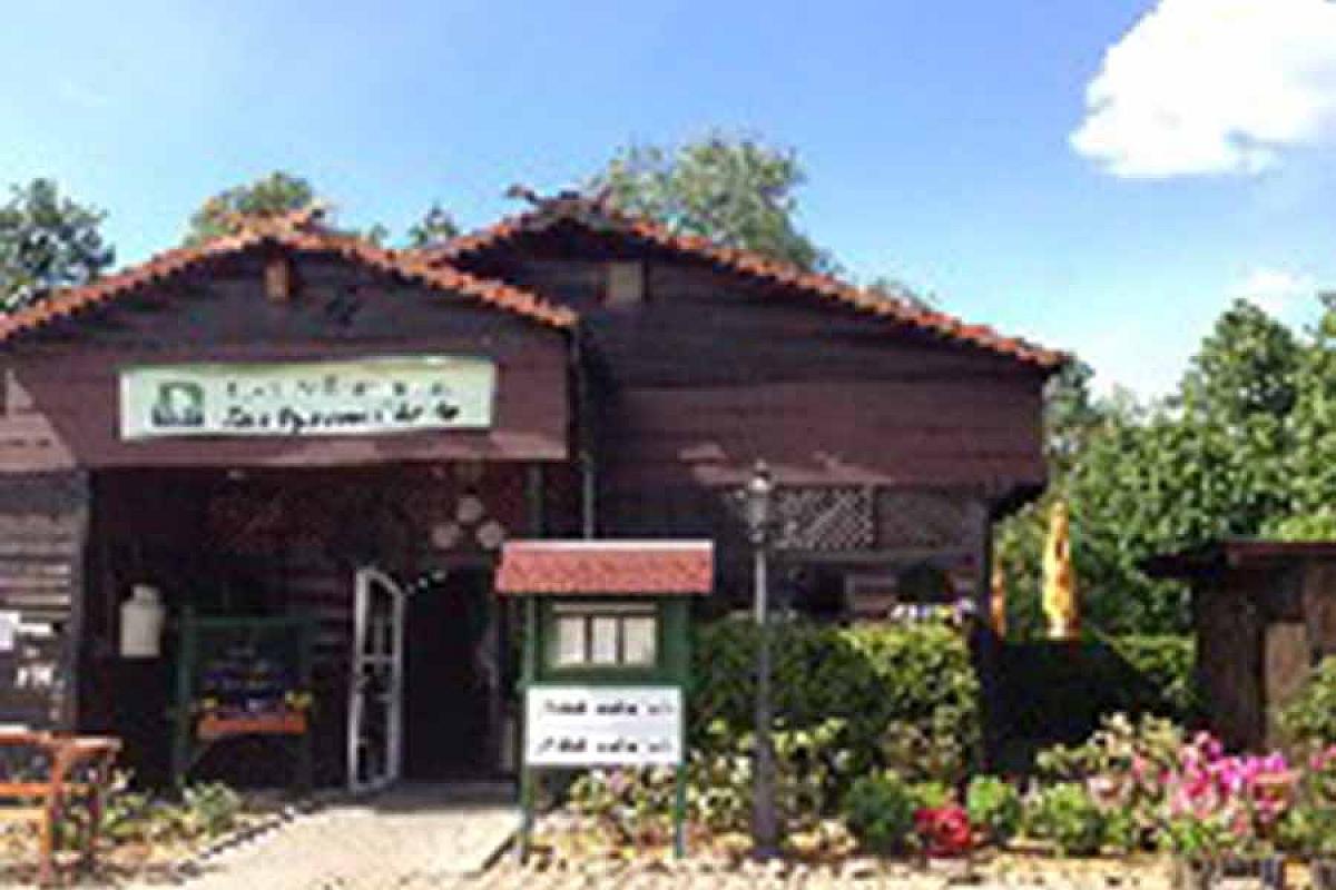 Hotel und Restaurant "Zur Spreewälderin" - 1