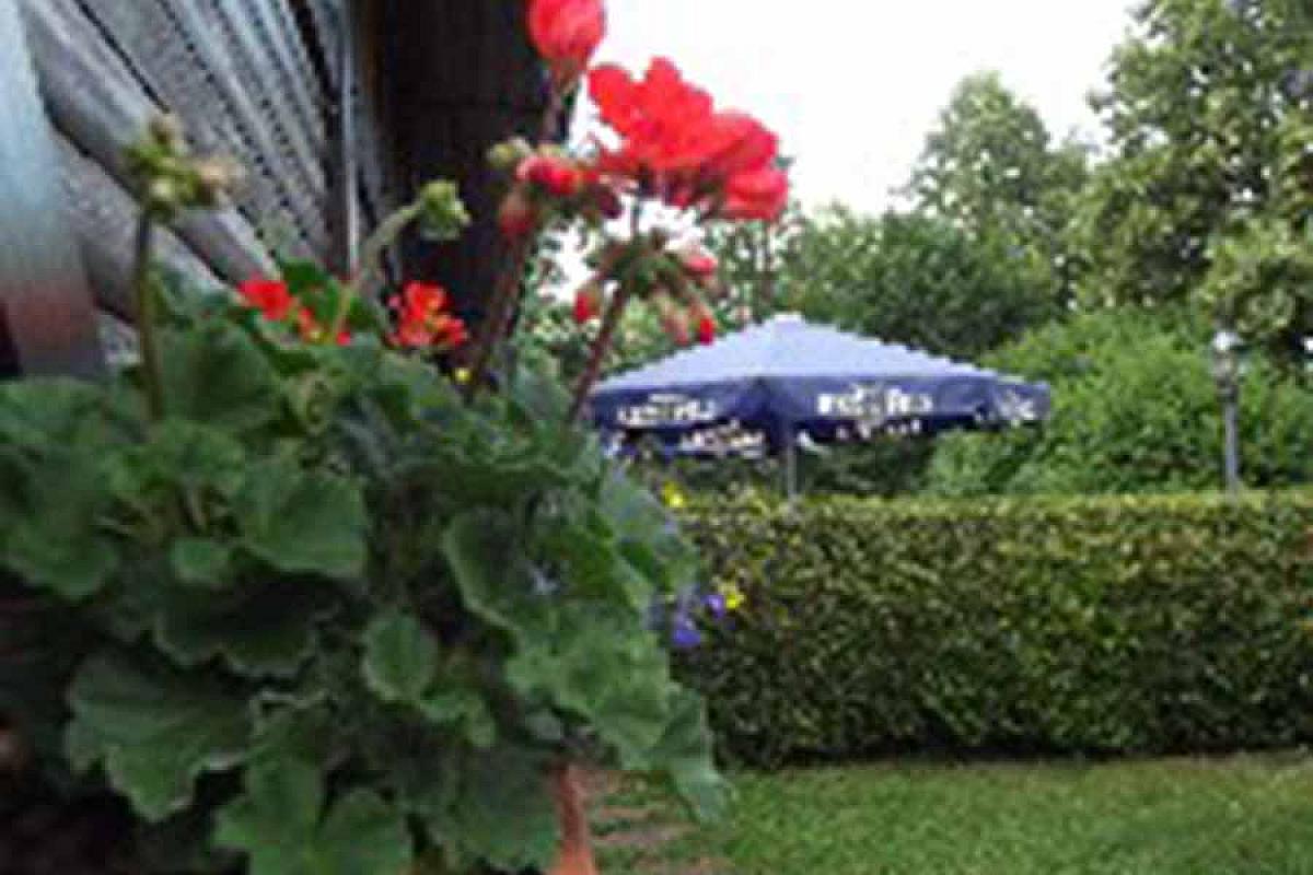 Hotel und Restaurant "Zur Spreewälderin" - Terrasse_2