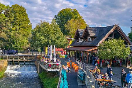 Bild Kahnfahrten am Spreehafen Burg