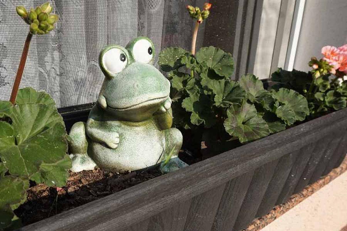 Unterkunft „Spreewaldfrosch“ - DSC02945