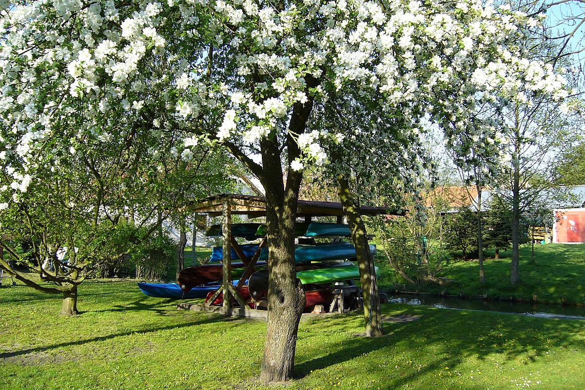 "Beim Kahnfährmann" - paddelboote-p1000185