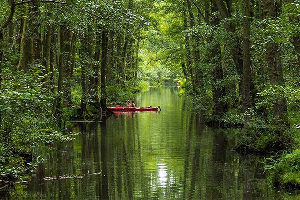 Gasthof zum Slawen - paddler-raddusch
