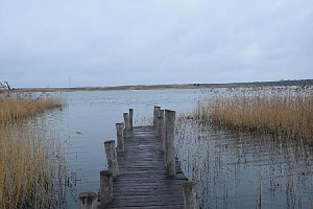 Bild Ferienhaus am See