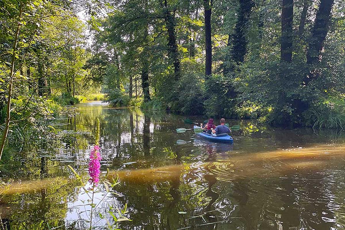 Spreewaldhotels Raddusch - paddler-am-naturhafen