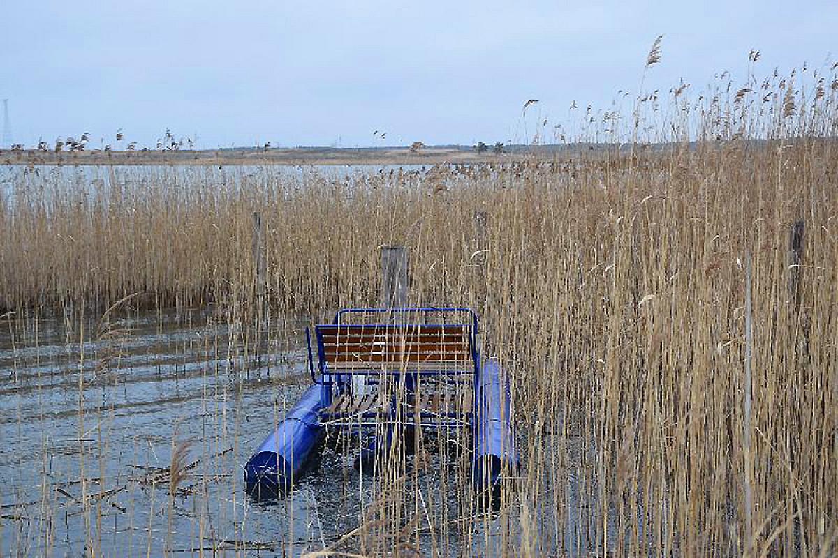 Ferienhäuser Spreewald oder See - dsc_0020__1_