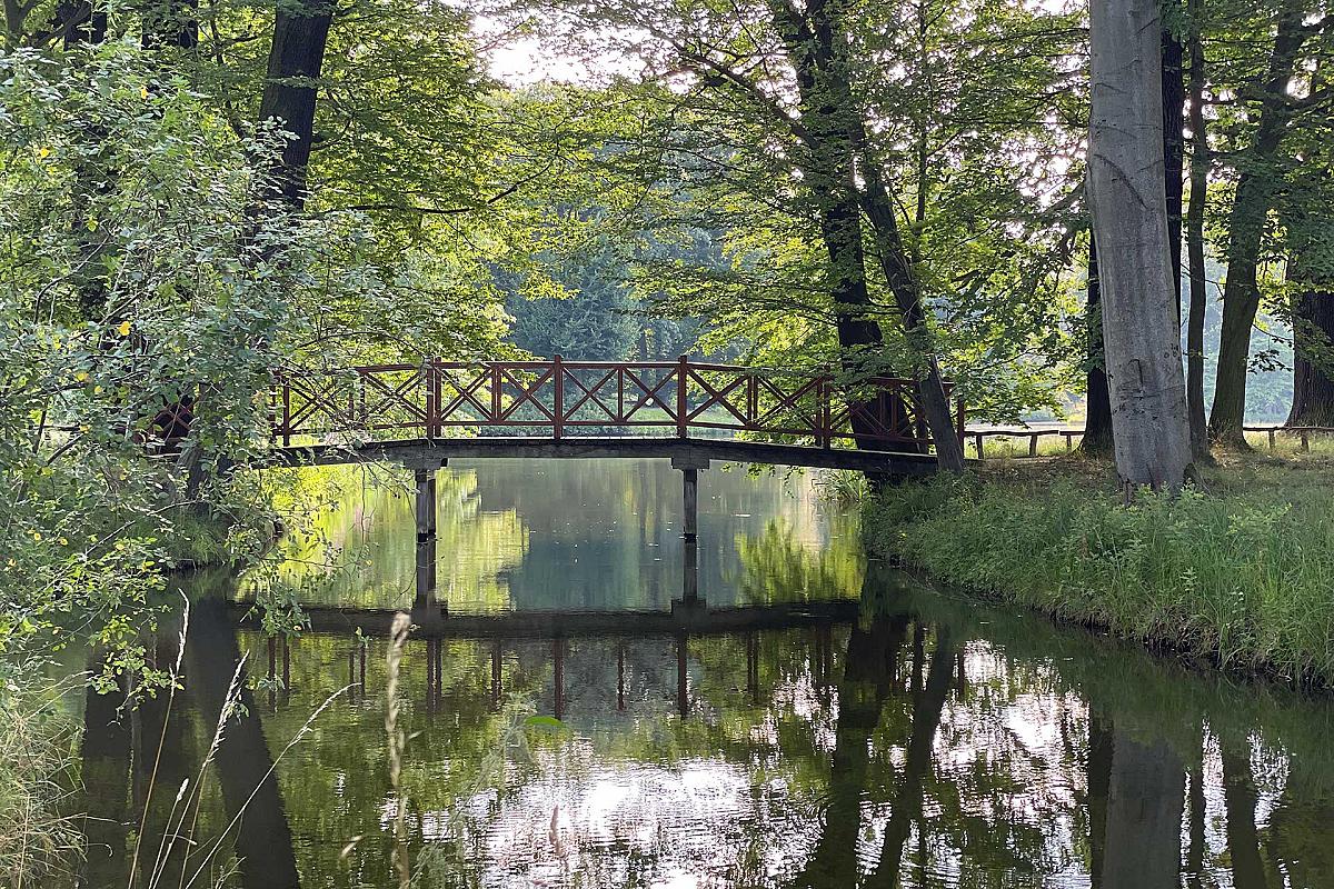 Stiftung Fürst-Pückler-Museum Park und Schloss Branitz - branitzer-park-bruecke-wasser_sia_20240721_9