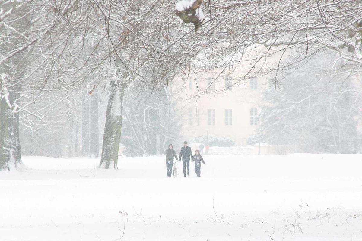 Stiftung Fürst-Pückler-Museum Park und Schloss Branitz - branitzer-park-winter-spaziergang_aod_20090104_9494
