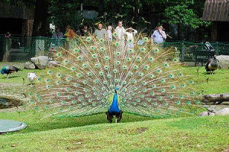 Bild Tierpark Cottbus