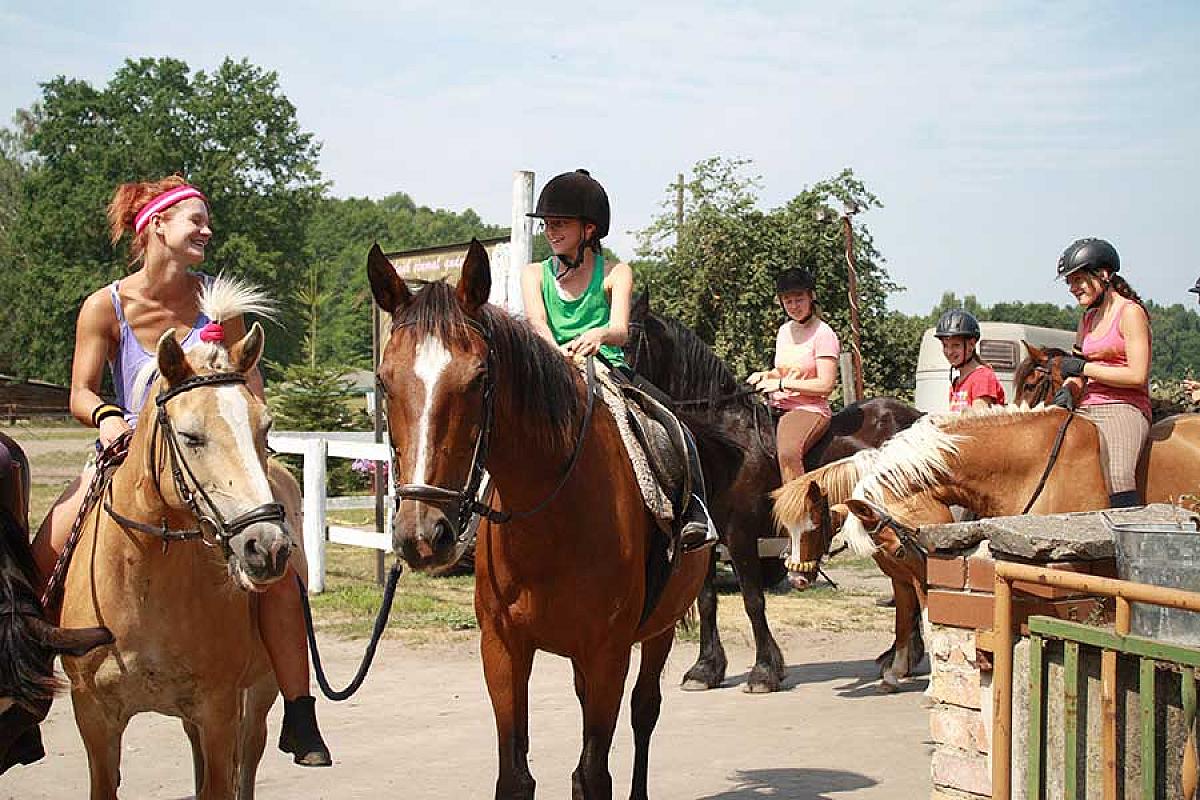 Wehlans Pferde- und Bauernhof - kinder-reiten-pferde-wehlans-pferdehof_IMG_5341