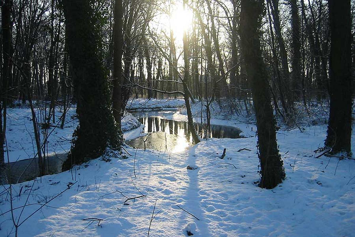 fliess-winter-schnee-faehrmannsverein-flottes-rudel_019