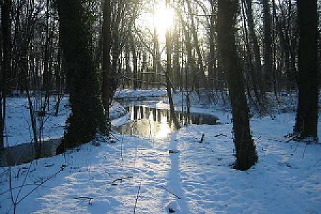 Glühweinkahnfahrt