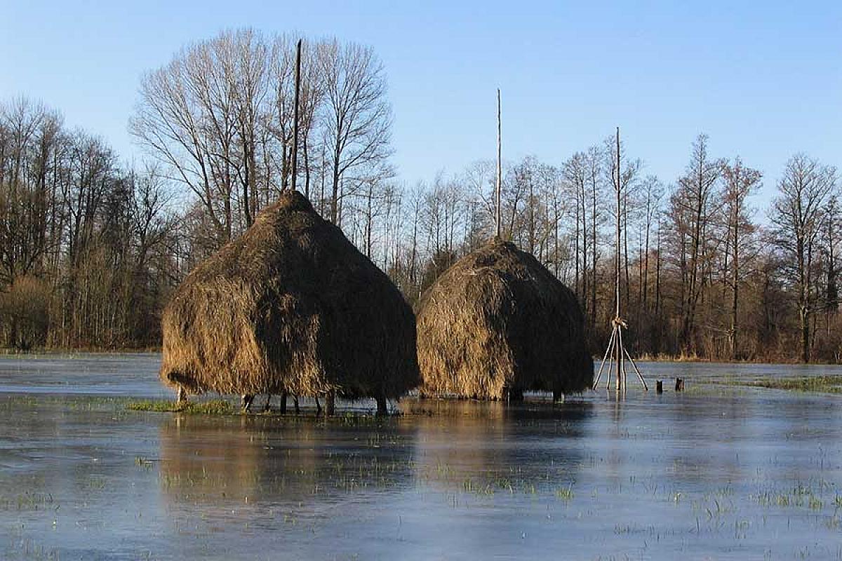 Foto: Spreewald-Info.de - Heuschober im Winter