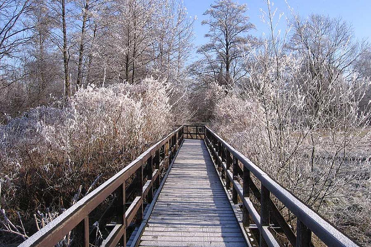 Foto: Spreewald-Info.de - Brücke an der SpreeLagune in Lübben
