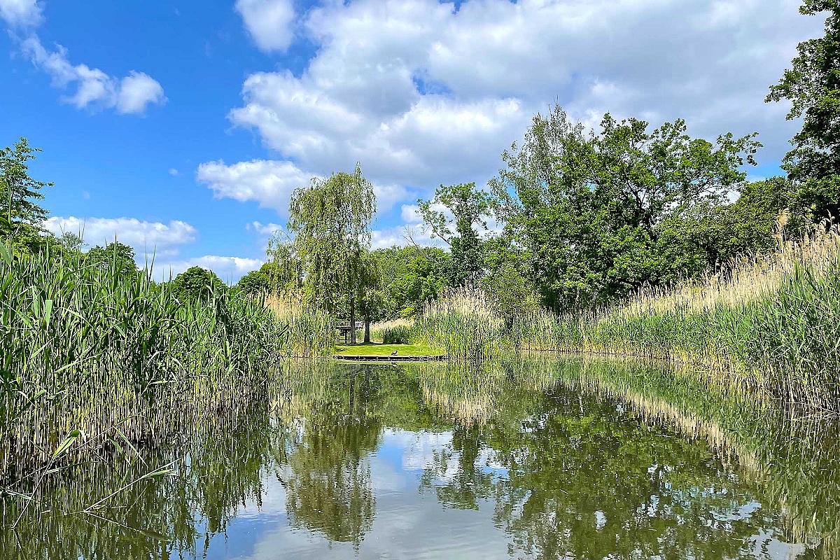 Jörg´s Kahnfahrten - joergs-kahnfahrt--einfahrt-spree-lagune-luebben_sia_20230525_209