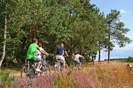 Niederlausitzer Bergbautour - 320 Kilometer