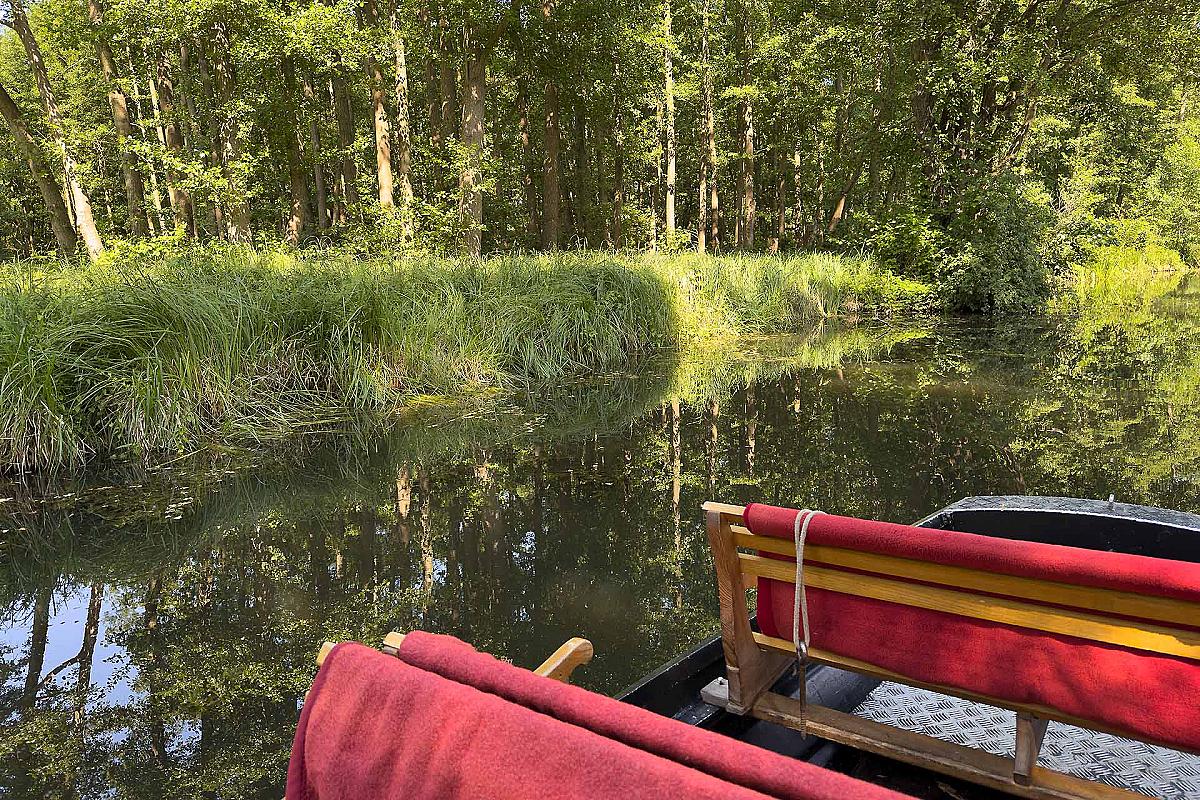Foto: Spreewald-Info.de - Kahn mit roten Decken durch die Natur in Lübben