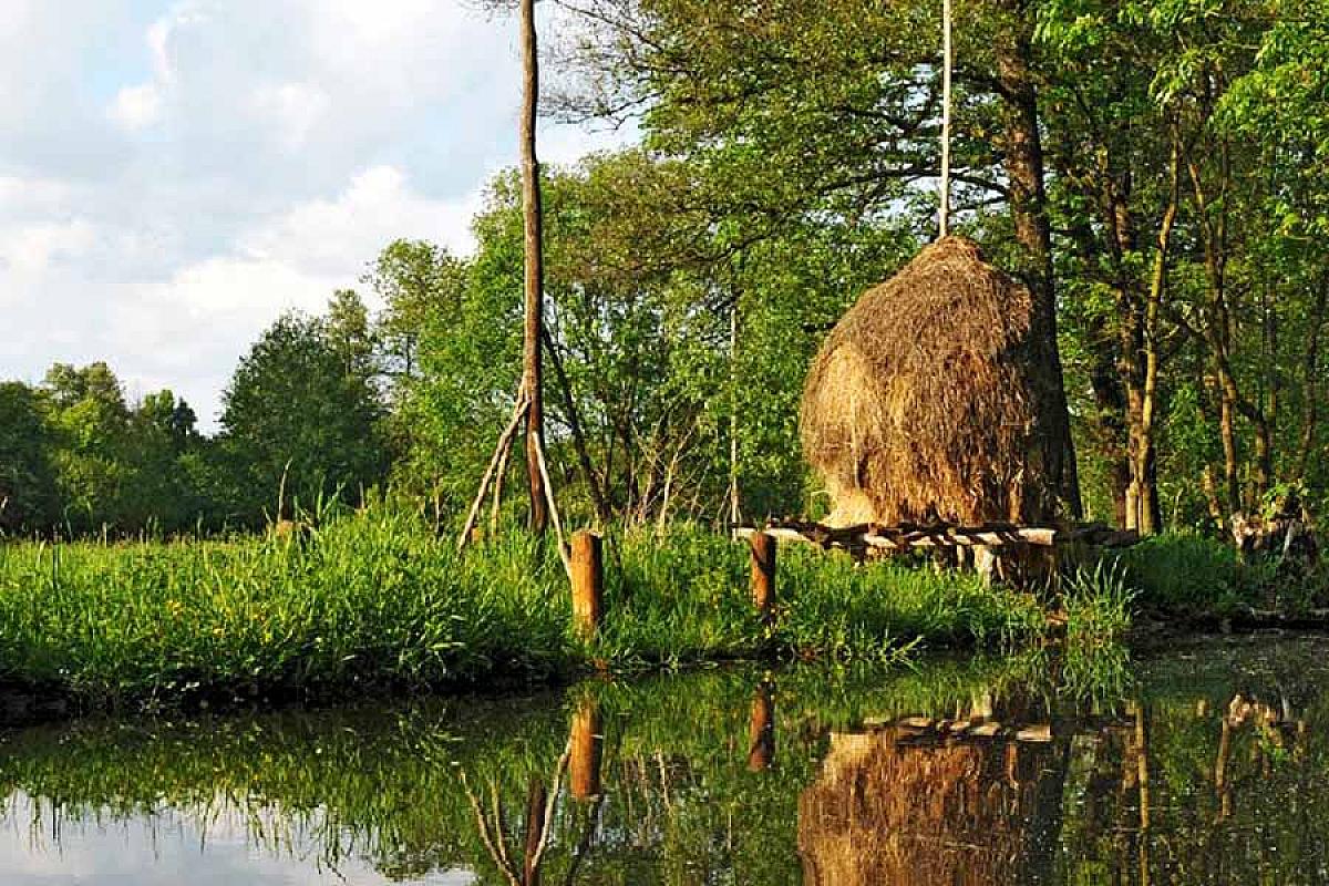 wib Spreewälder-Feriendomizil - wib.spreewald.2
