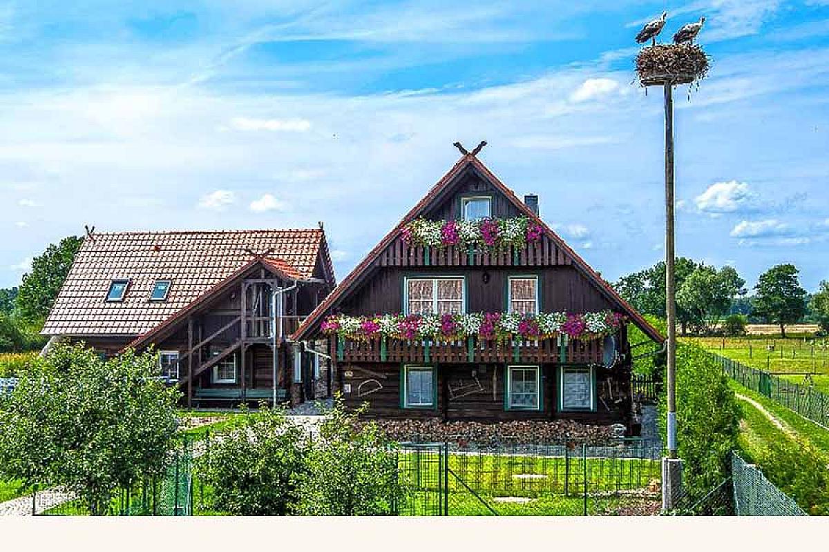 Pension & Wellness am Storchennest - 2015-07-22_Biebersdorf-Storchenblick_019-druck