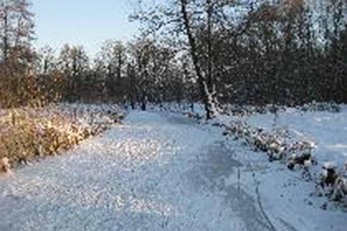 Exklusive Ferienwohnung am kleinen Leineweberfließ - 11.01.09_Winter_im_Spreewald__16_